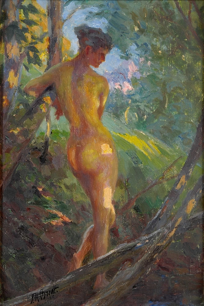 Ultimi raggi di sole